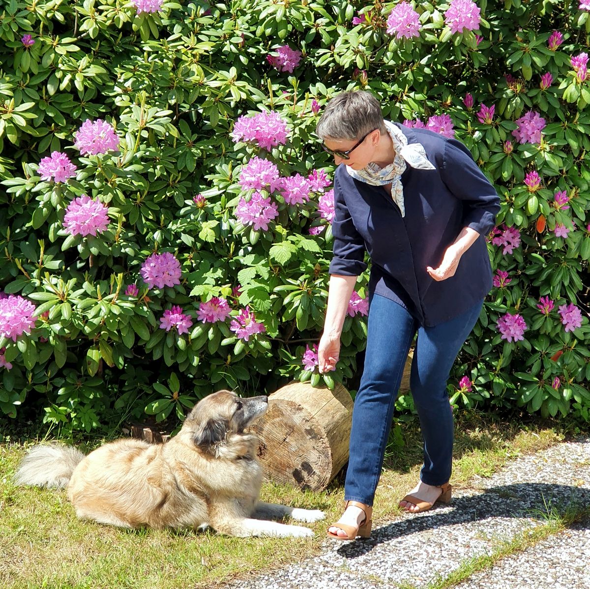 Ines Meyrose - Outfit 2021 - Frühlingseinheitslook - persönliche Uniform - dunkelblaue Bluse, dunkelblaue Jeans, Sandalen - Ü50 Bloggerin mit Hund Paul