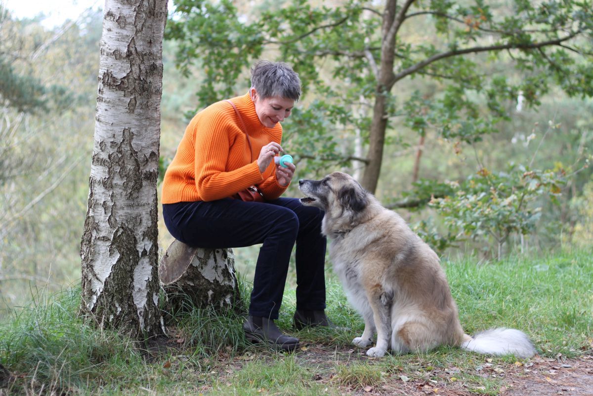 Ines Meyrose – Outfit 2021 – Rollkragenpullover / Turtleneck orange, Cordhose blau - Ü50 Bloggerin mit Hund Paul