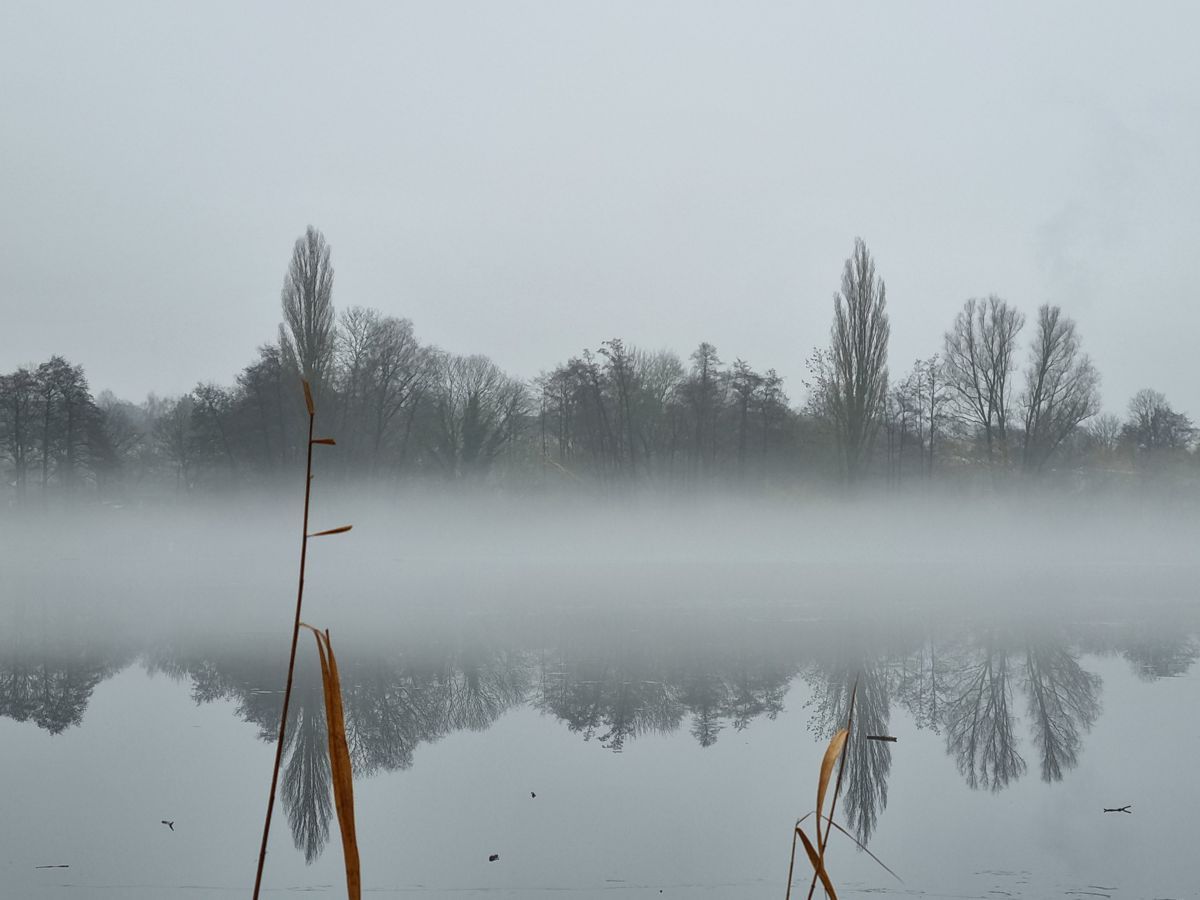 Außenmühle in Hamburg-Harburg im Nebel