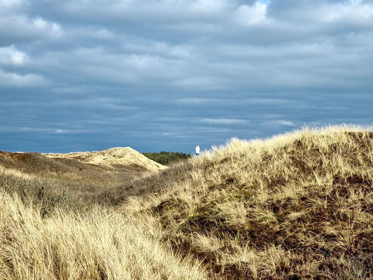 Sylt - Blick auf den Kampener Leuchtturm durch die Wenningstedter Dünen