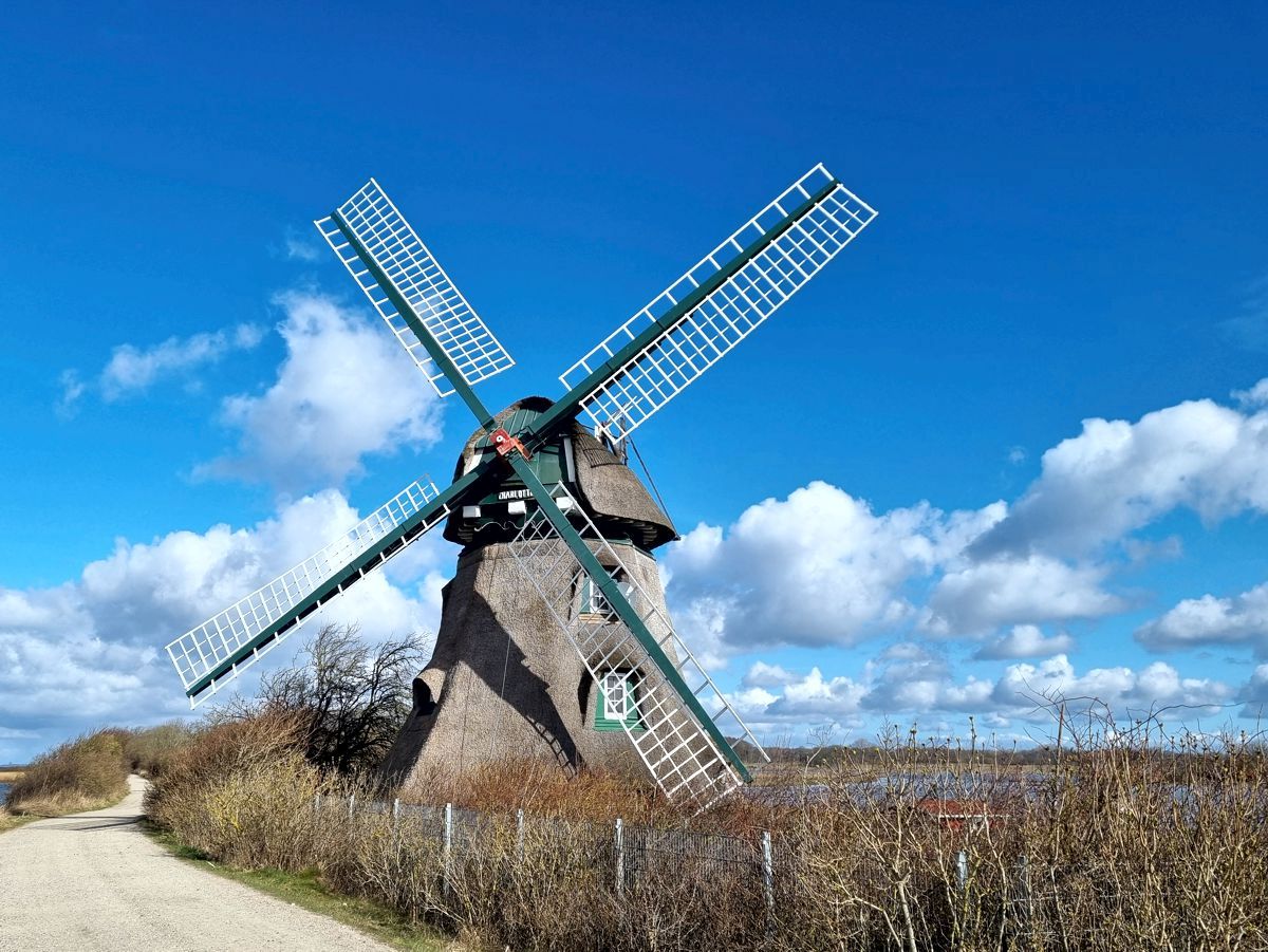 Mühle Charlotte in der Geltinger Birk