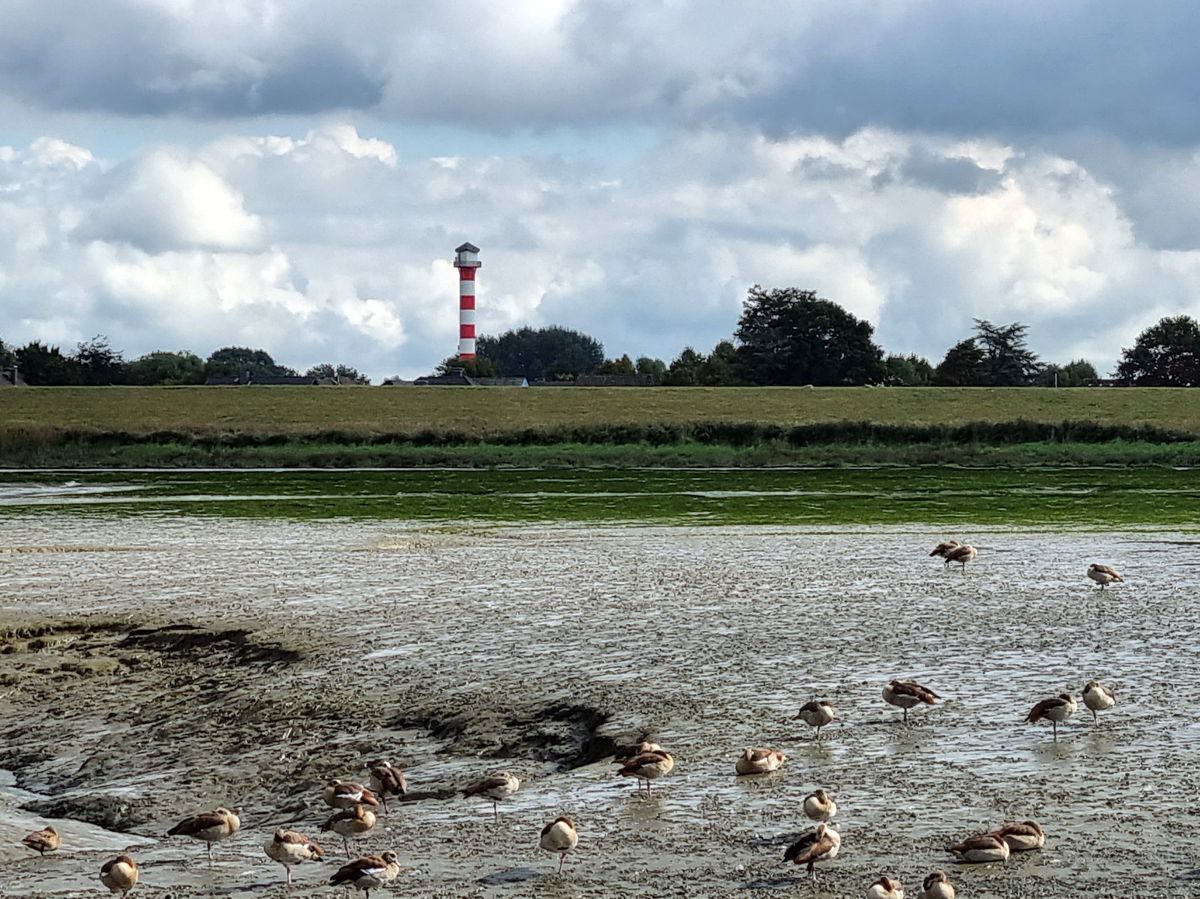 Leuchtturm Glückstadt Oberfeuer im Ort