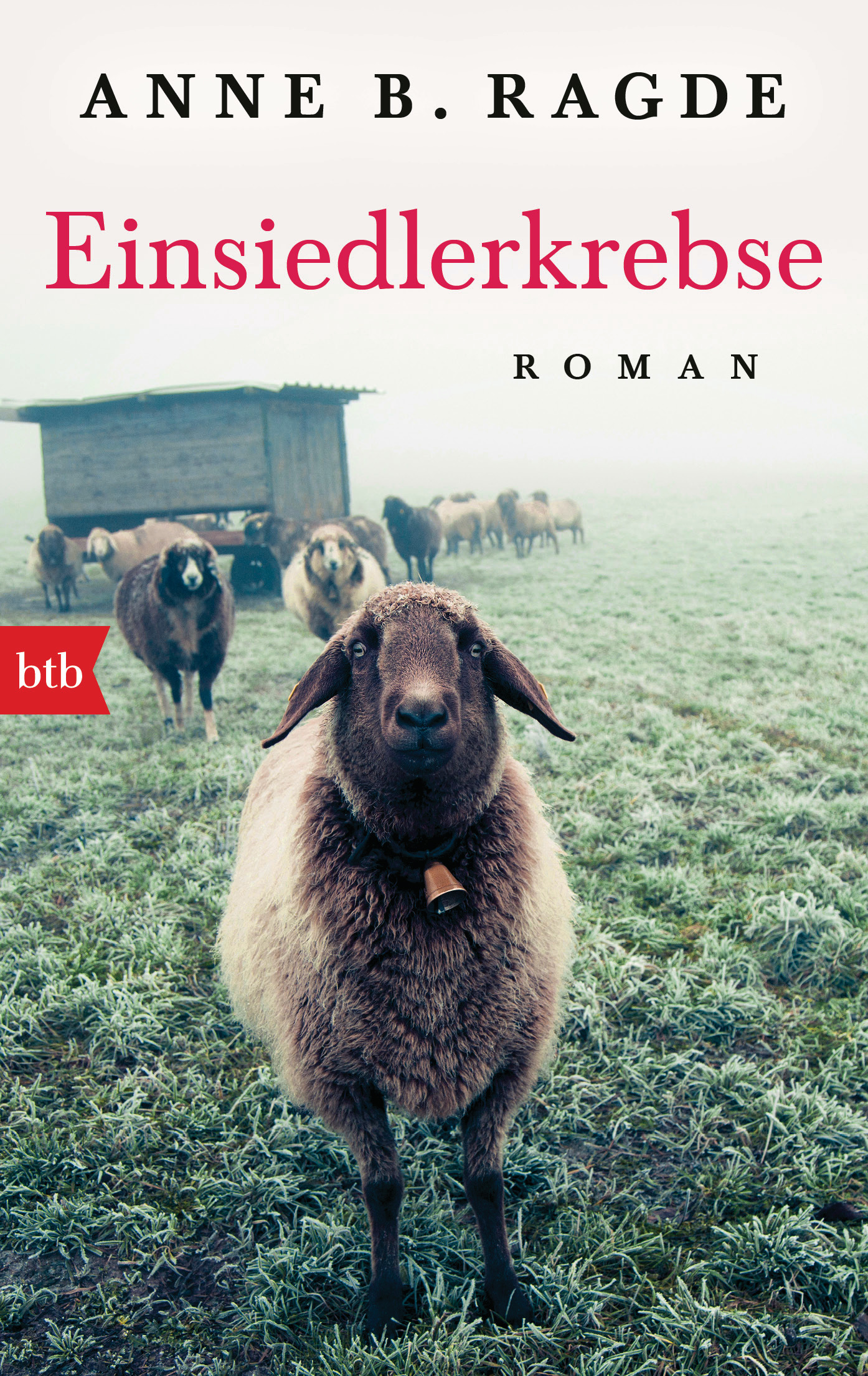 Einsiedlerkrebse von Anne B Ragde