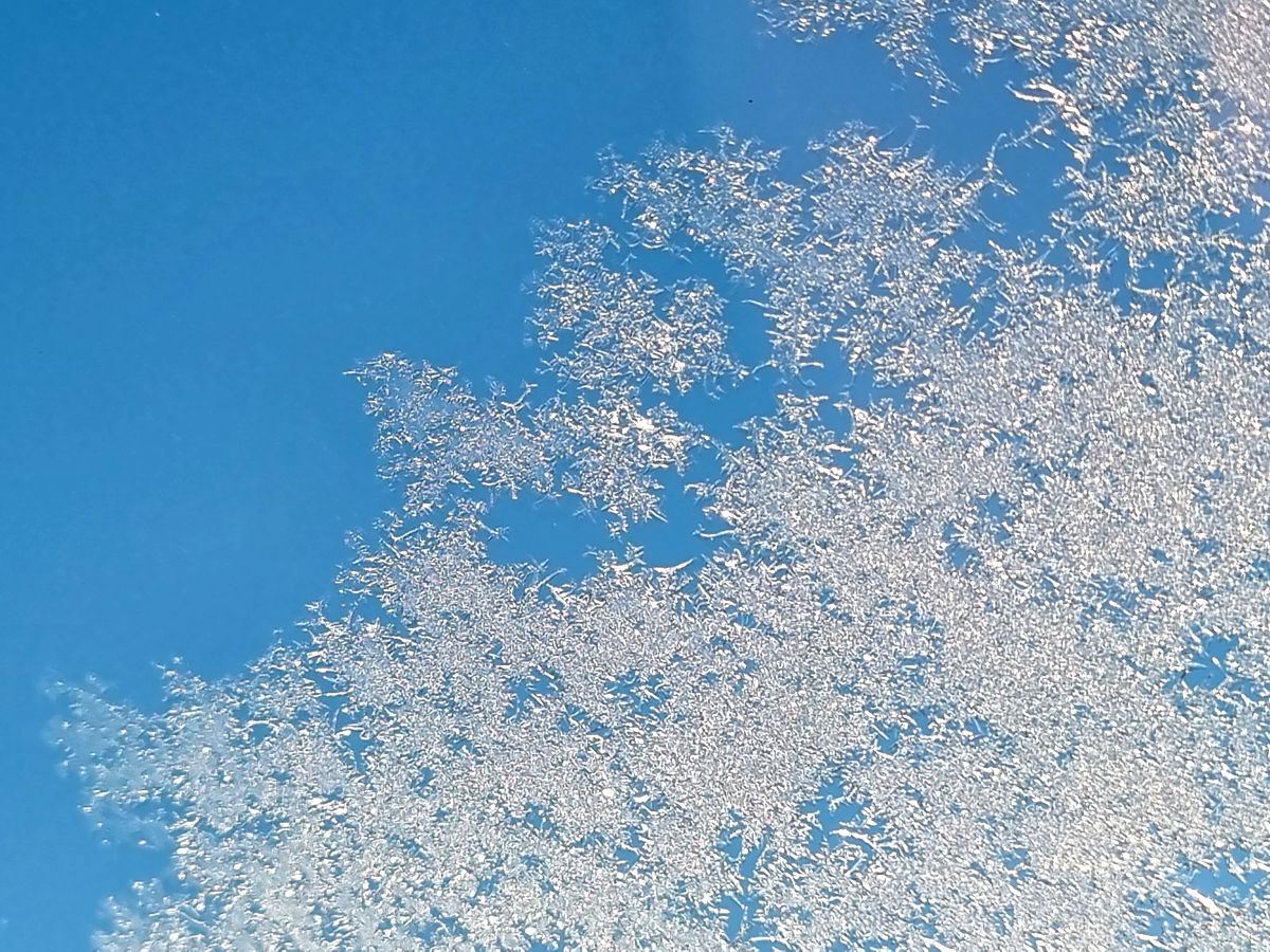 Eisblumen am Fenster