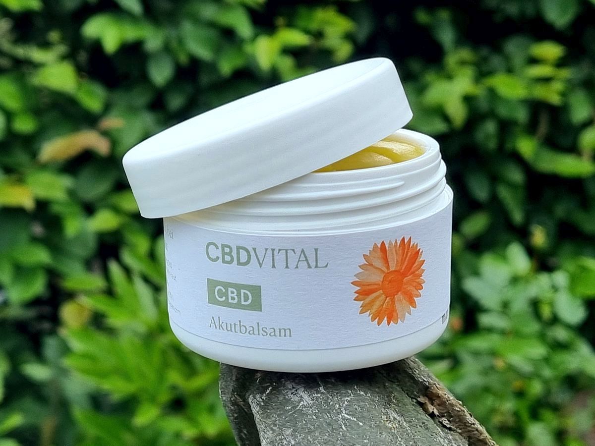 CBD VITAL - CBD Akutbalsam