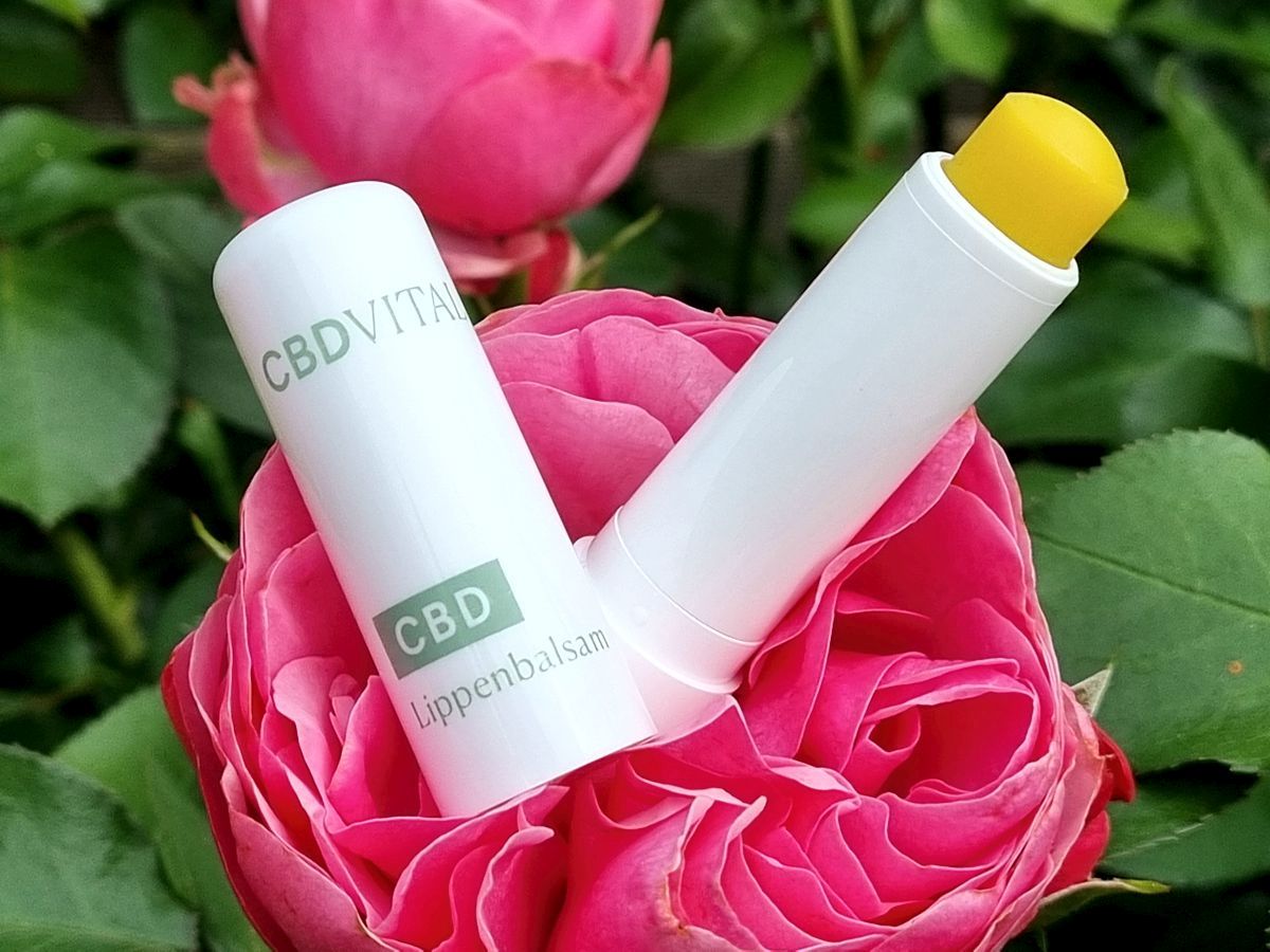 CBD VITAL - CBD Lippenbalsam