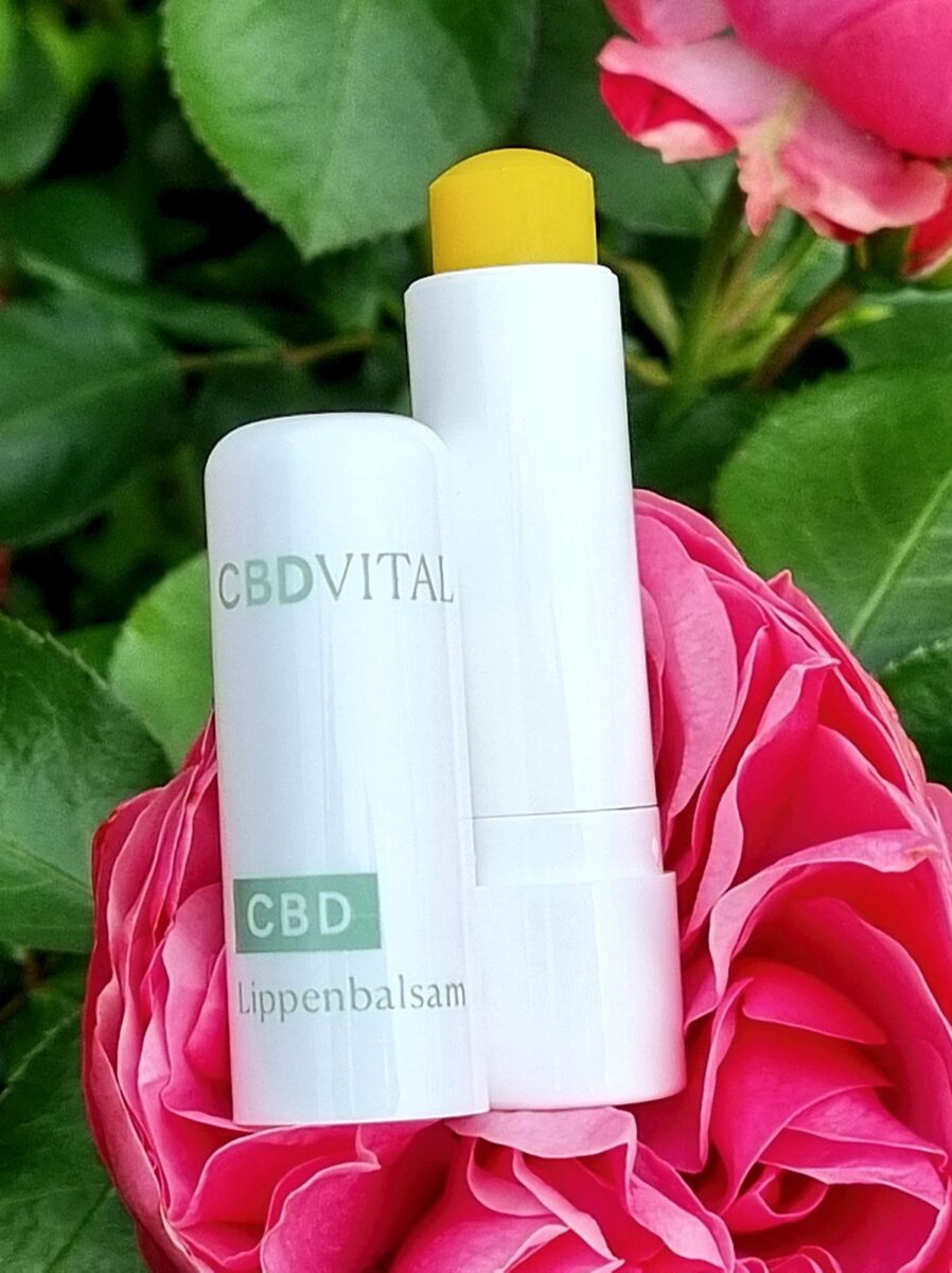 CBD VITAL - CBD Lippenbalsam