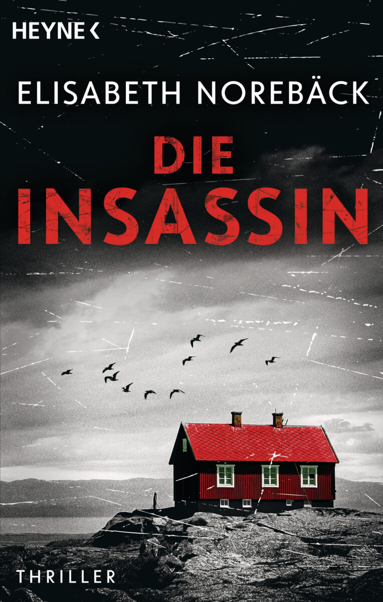 Die Insassin von Elisabeth Norebaeck