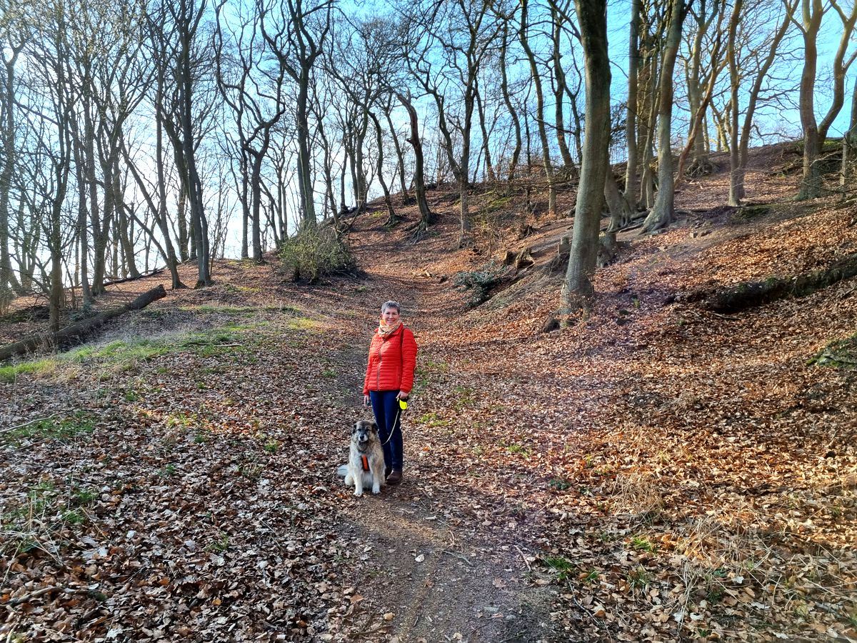 Ines Meyrose - 2023 - Wanderung zum Falkenberg in Hamburg-Neugraben mit Bloggerhund Paul