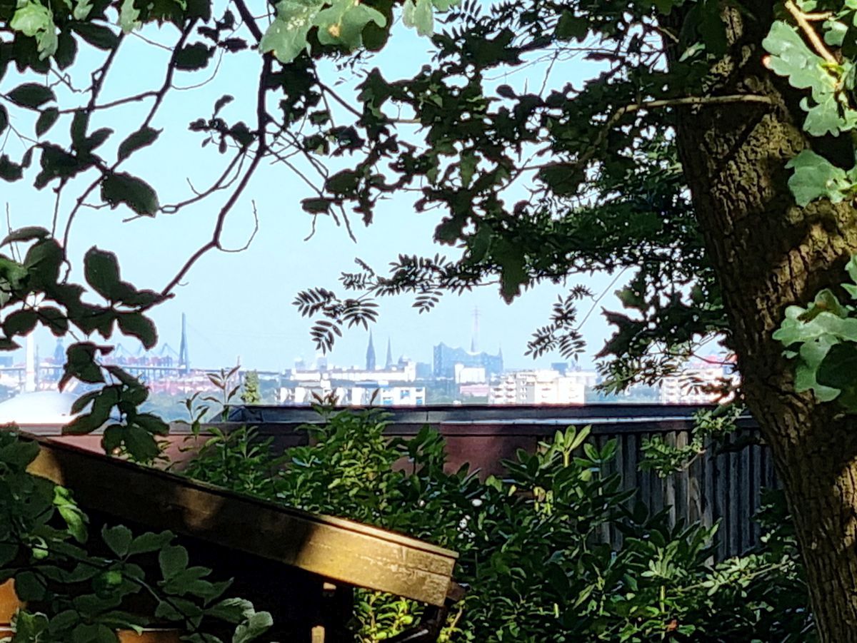 Herangezoomter Blick auf die Skyline Hamburgs auf der Hunderunde. Wir wohnen schon schön gelegen ...