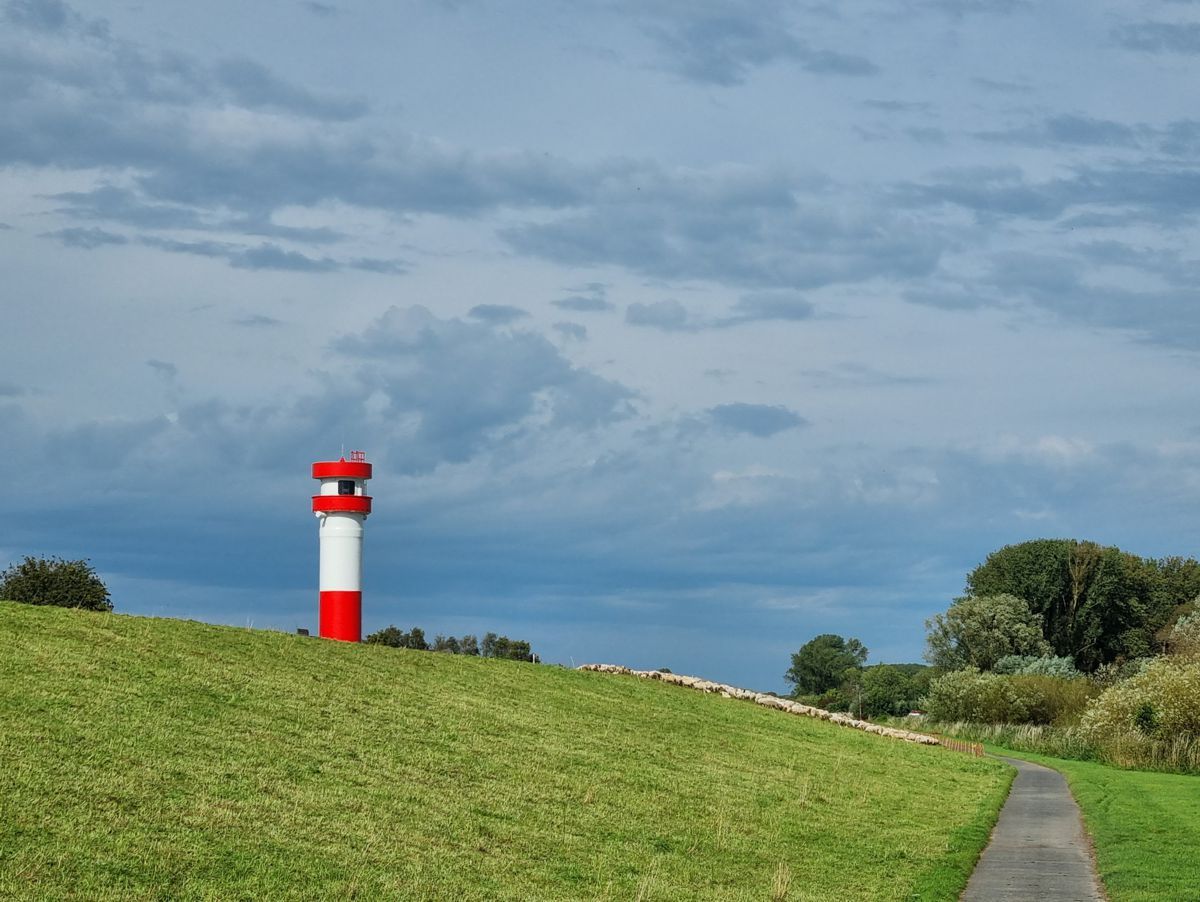 Leuchtturm Krautsand mit Schafen am Deich