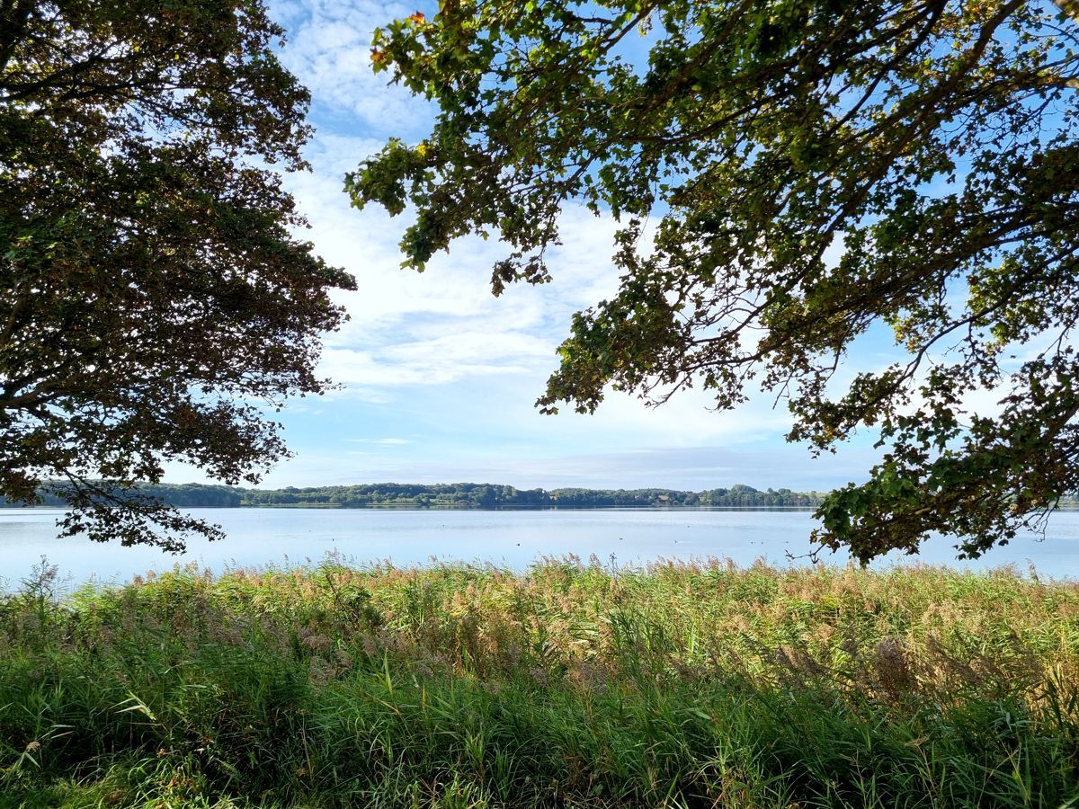 Windebyer Noor bei Eckernförde