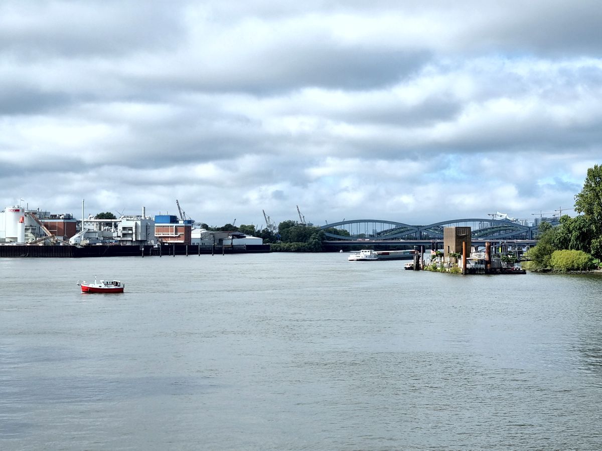 Elbe bei Hamburg mit Blick auf die Entenwerder Halbinsel in Richtung Elbbrücken mit der Eplhi im Hintergrund