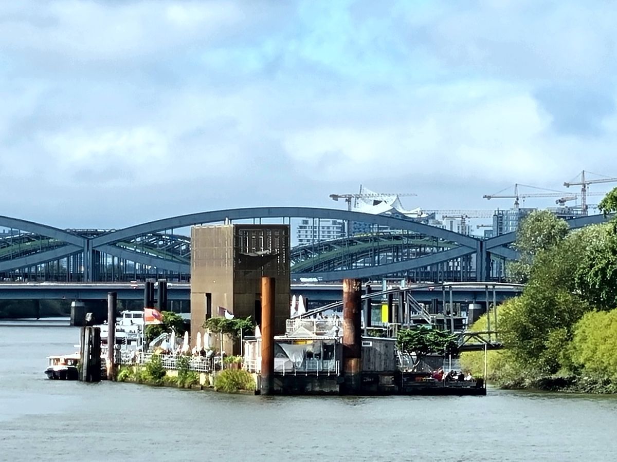 Elbe bei Hamburg mit Blick auf die Entenwerder Halbinsel in Richtung Elbbrücken mit der Eplhi im Hintergrund