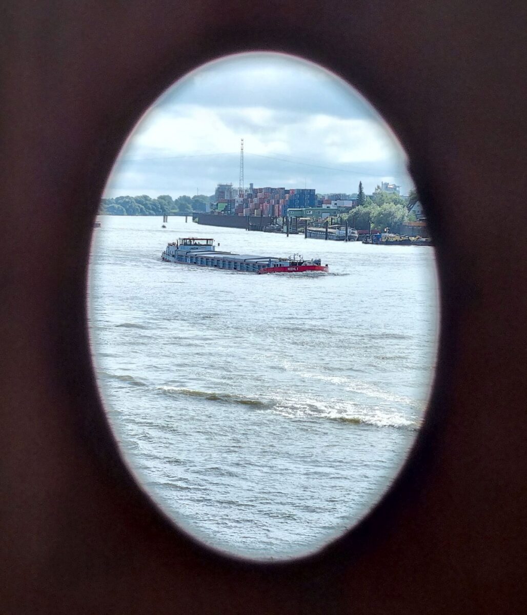 Elbe bei Hamburg mit Blick von der Entenwerder Halbinsel nach Südosten