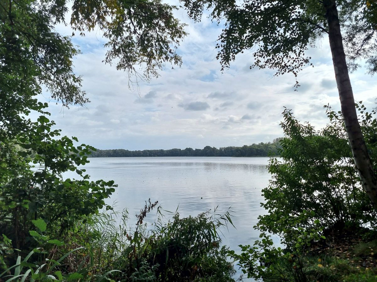 See im Großen Moor - Landkreis Harburg - Meckelfeld - Hörstener See - Hörster See