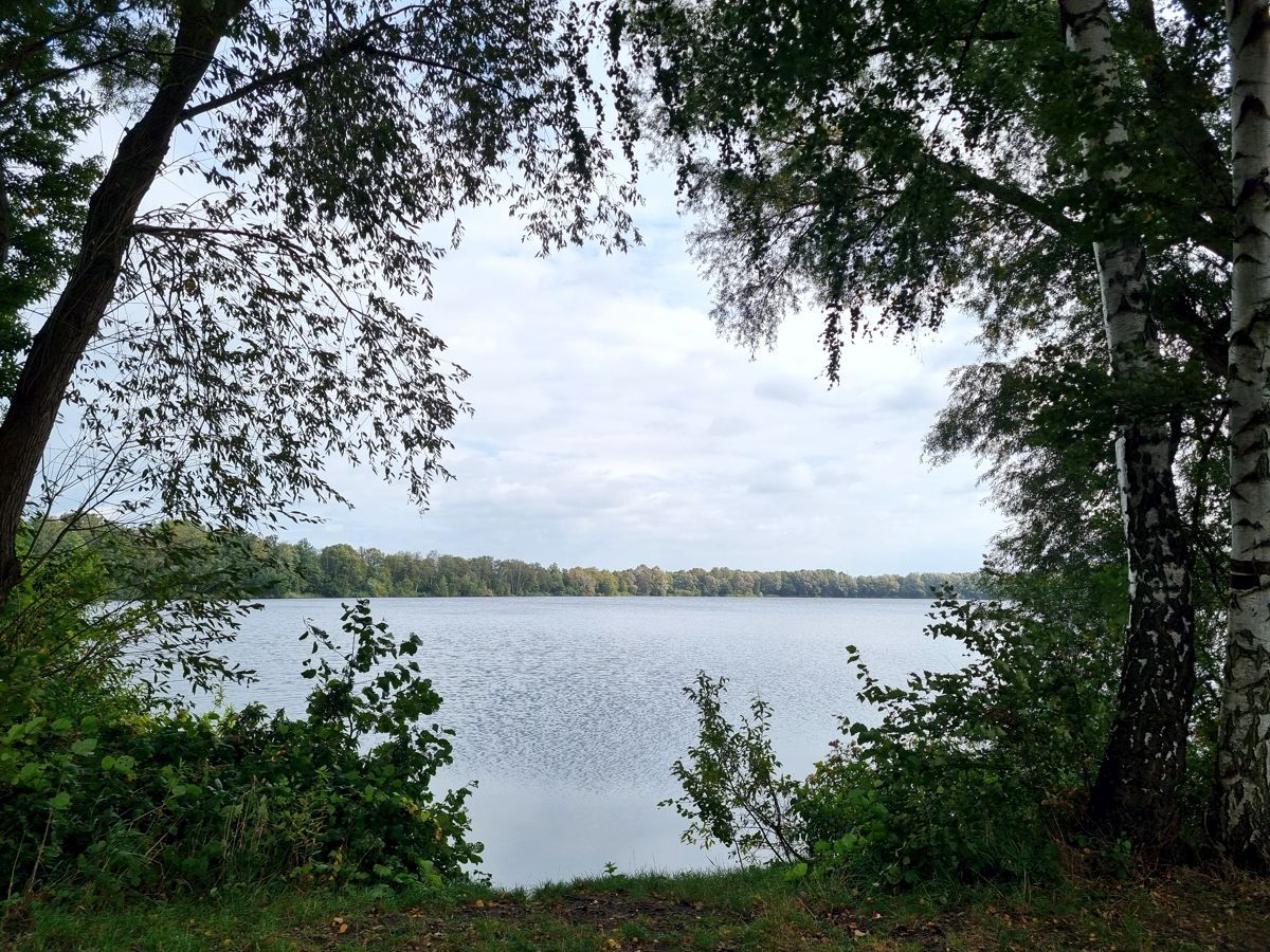 See im Großen Moor - Landkreis Harburg - Meckelfeld - Hörstener See - Hörster See