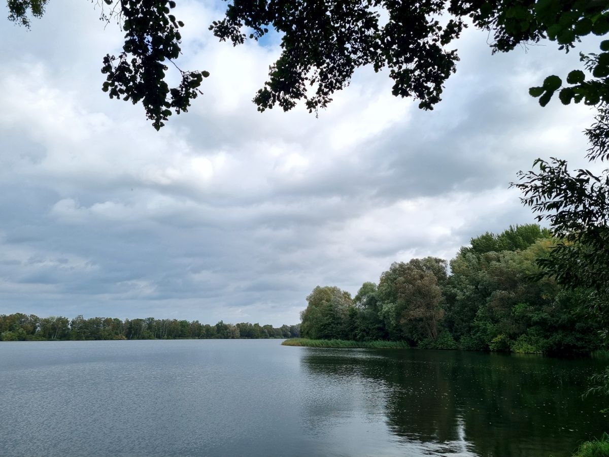 See im Großen Moor - Landkreis Harburg - Meckelfeld - Hörstener See - Hörster See