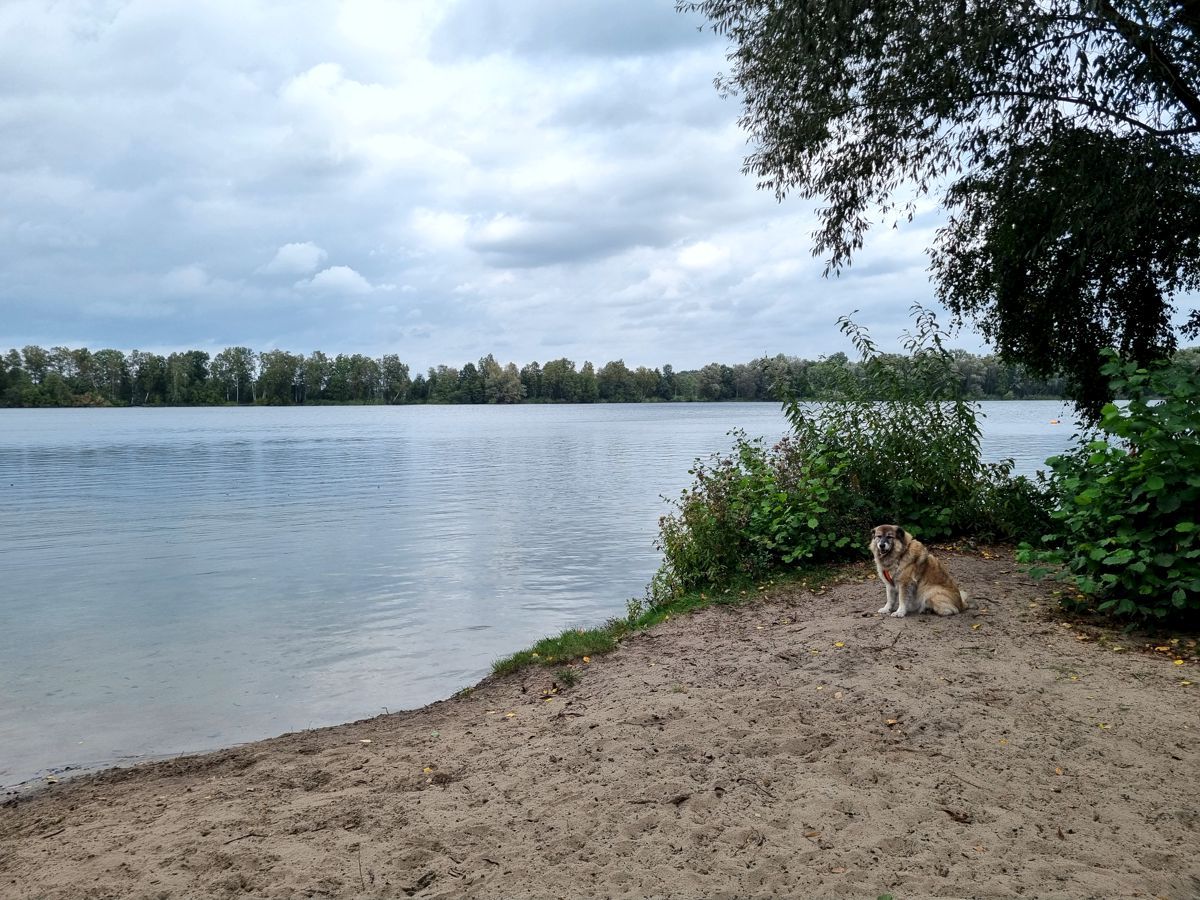 See im Großen Moor - Landkreis Harburg - Meckelfeld - Hörstener See - Hörster See