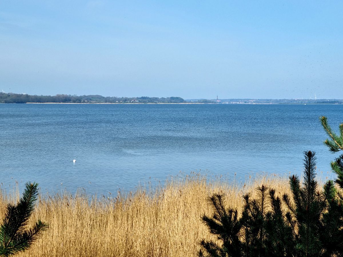 Blick auf die Schlei von Weseby aus