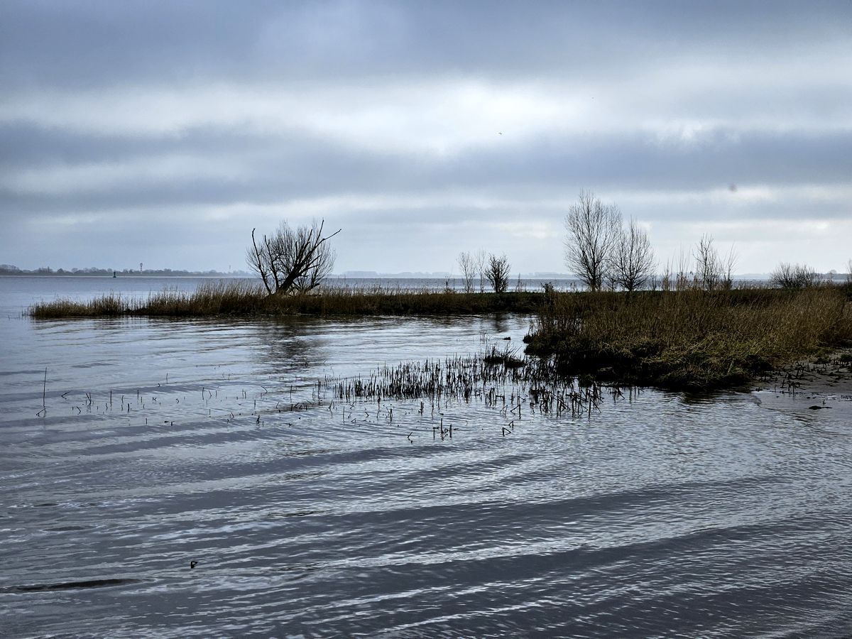 Elbe im Februar 2024