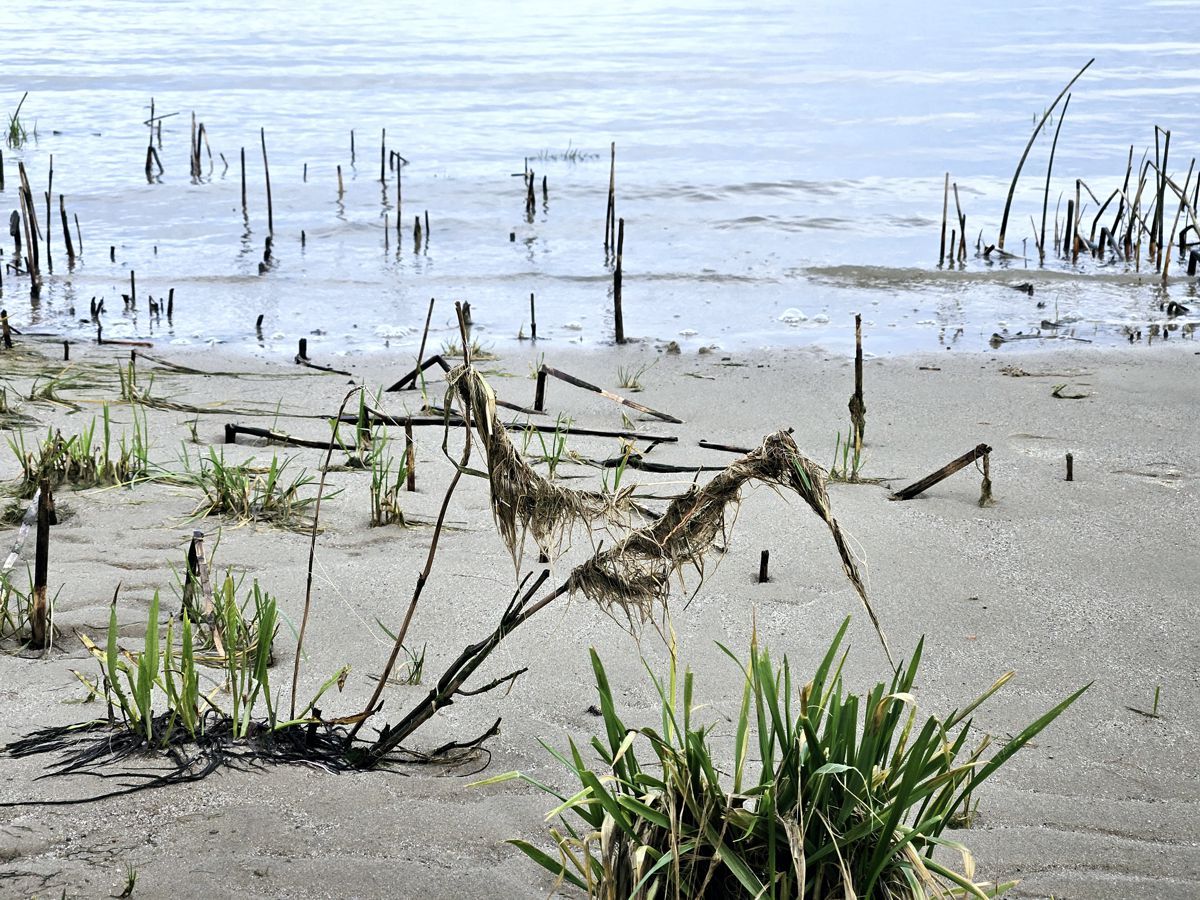 Elbstrandkunst im Februar 2024