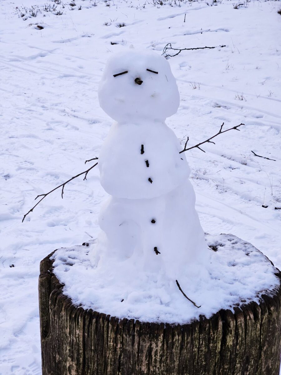 Schneemann, lächelnd