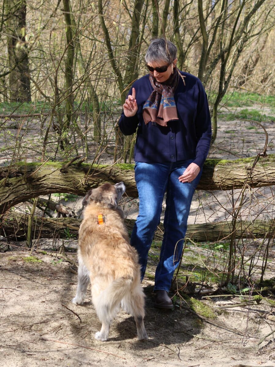 Ines Meyrose - Outfit 2024 - Strickjacke, Jeans und Boots - Dunkelblau geht immer - mit Bloggerhund Paul