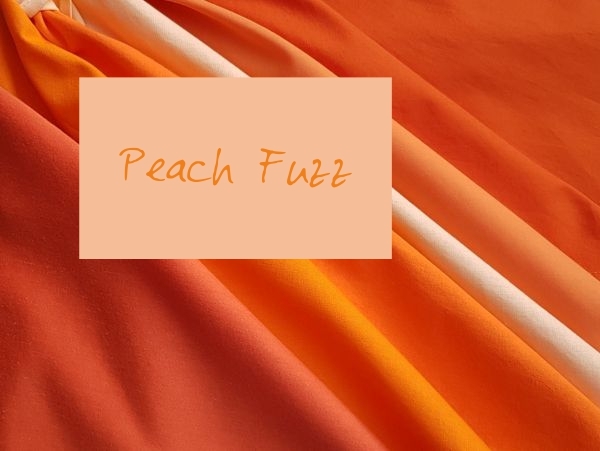 Peach Fuzz - Pantone Farbe des Jahres / Color of the Year 2024 mit Orange kombiniert