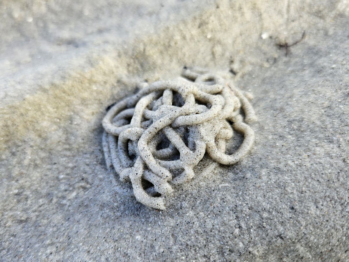 Wattwurm - Sandhaufen in der Ostsee