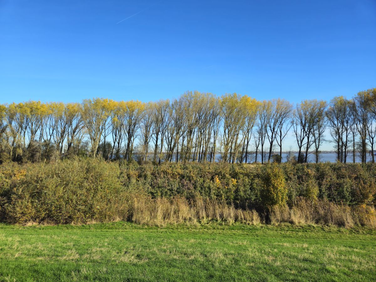 Krautsand 2025 November