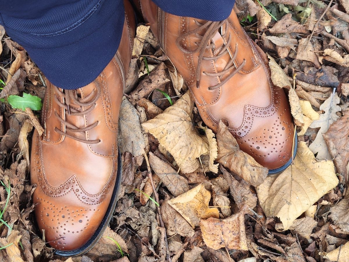 Lloyd Stiefelette DARA 325 hazelnut kombiniert mit dunkelblauer Hose