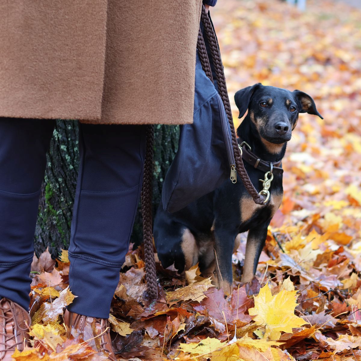 Ines-Meyrose - Outfit-2025 - mit Bauchtasche Annett aus Waxed Cotton in Marineblau von WAXWERKE - Ü50-Bloggerin mit Hund Mona