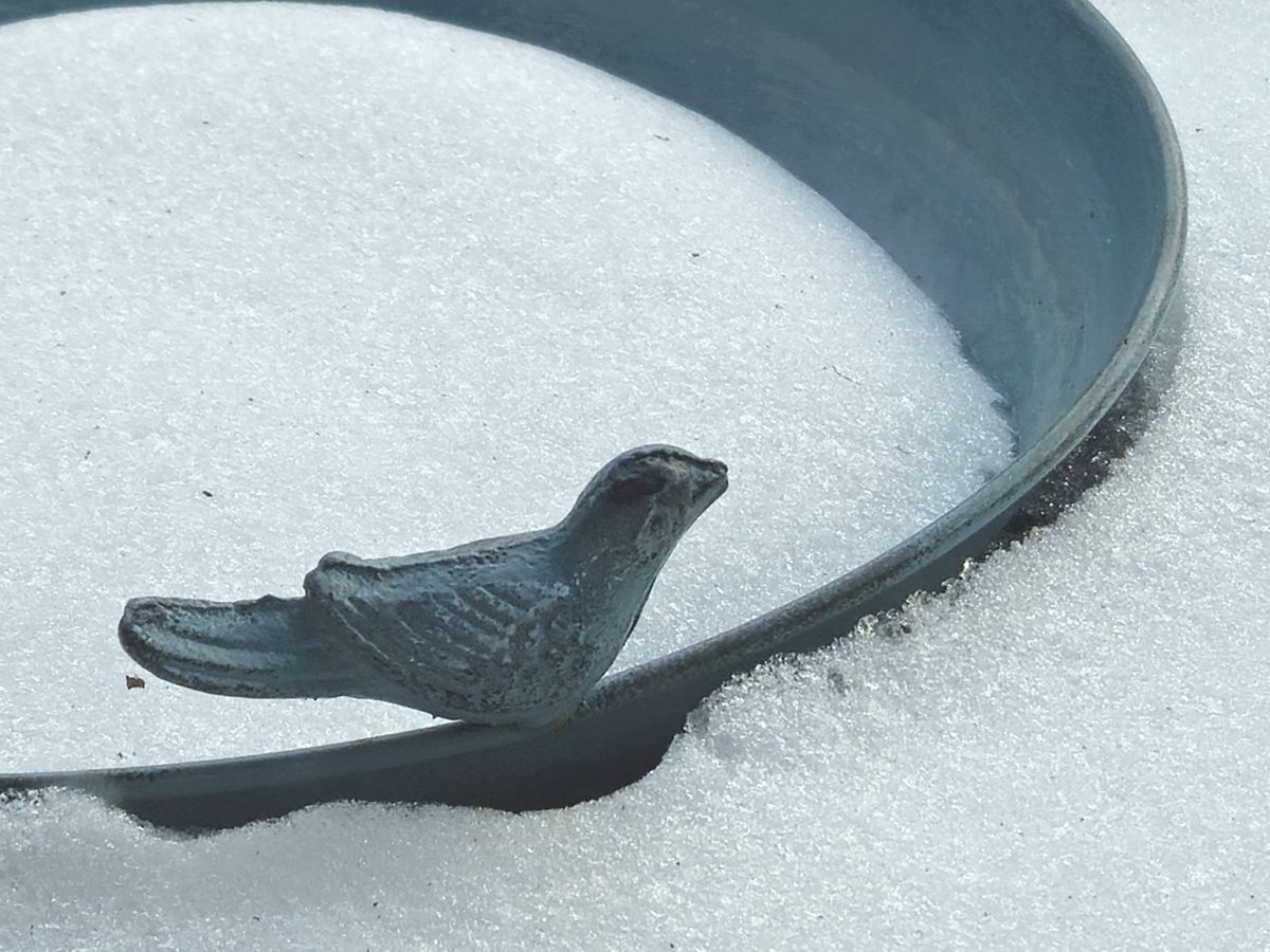 Vogeltränke verschneit