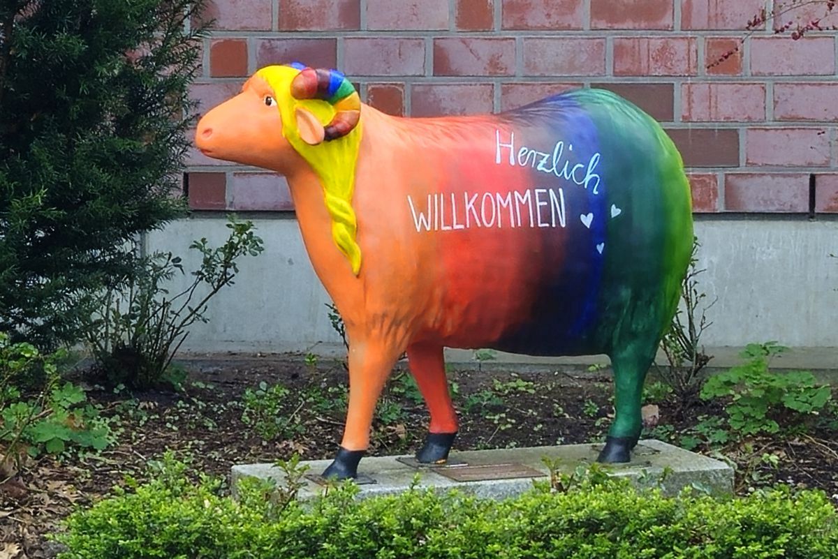 Heidschnucke - Herzlich WILLKOMMEN