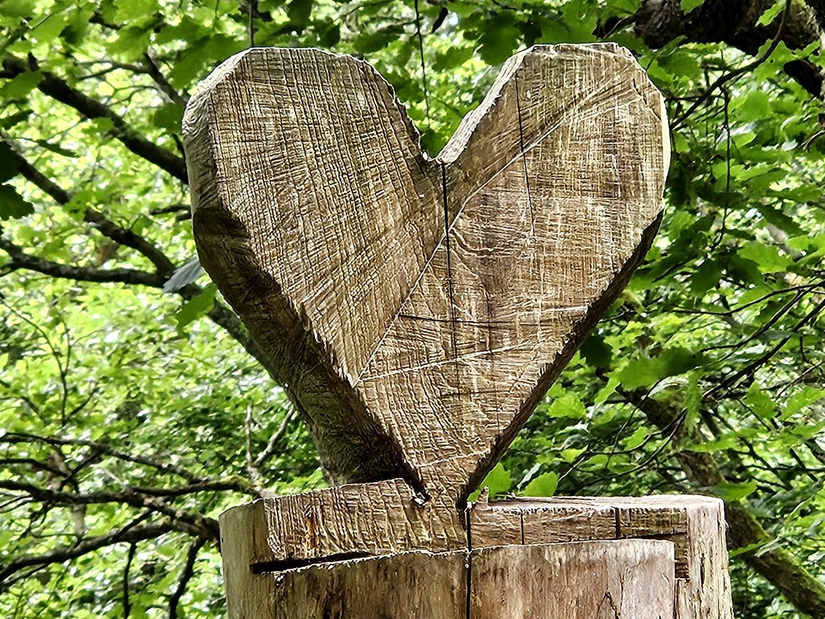 Herz aus Holz aus einem Baumstamm geschnitzt