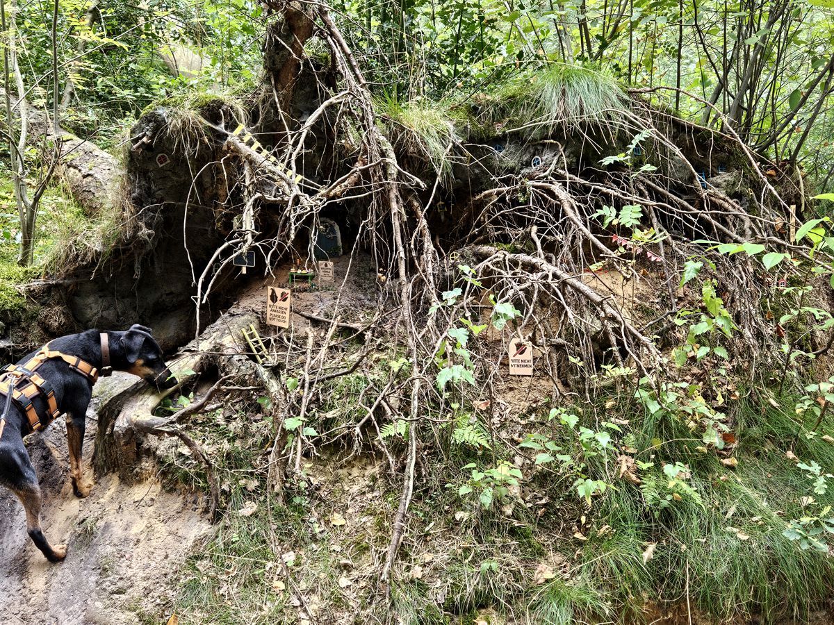 Wichtelhöhle im Wald in der Fischbeker Heide