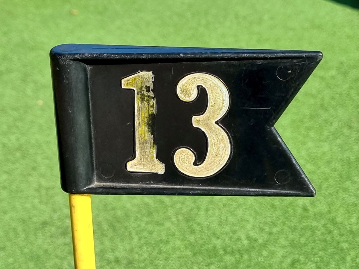 13