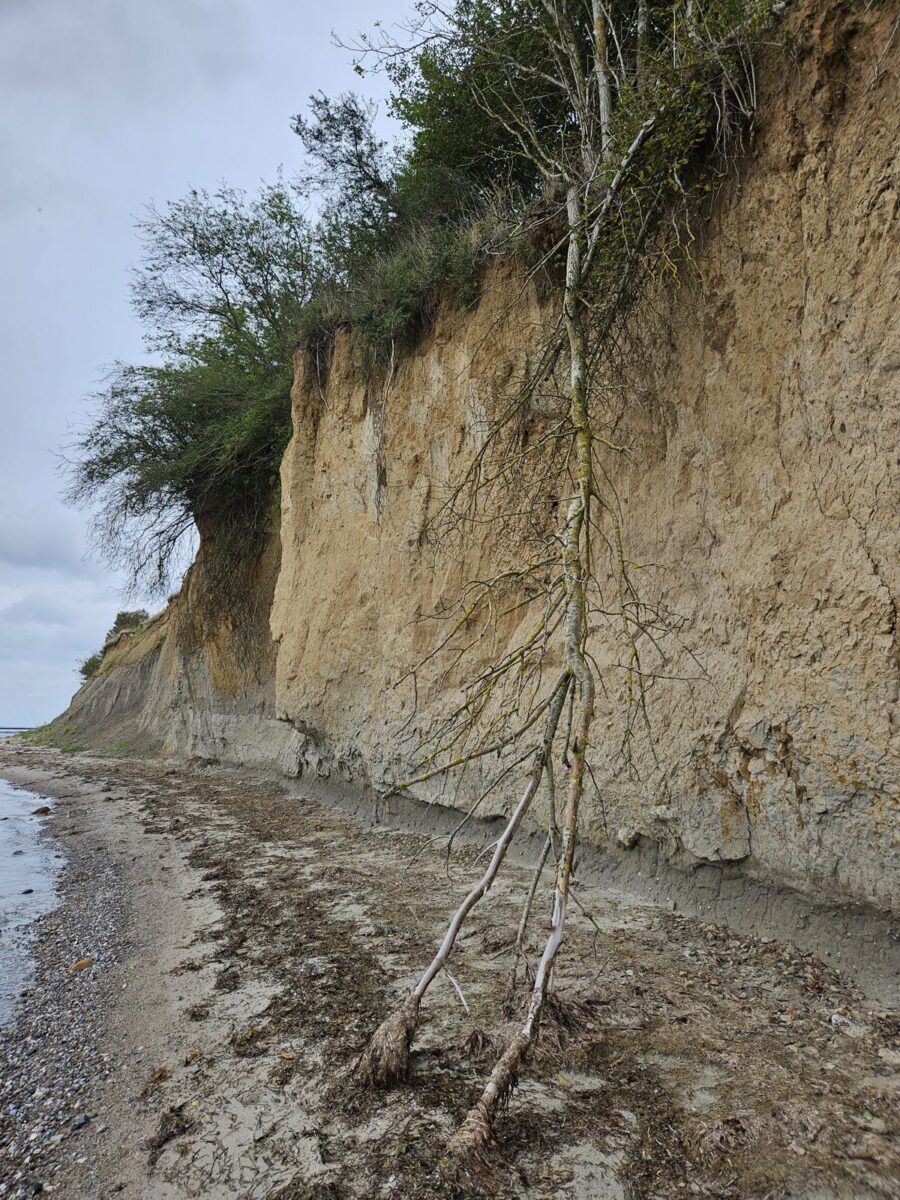 Wanderroute 4 Krusendorf - Jellenbel Strand Steilküste