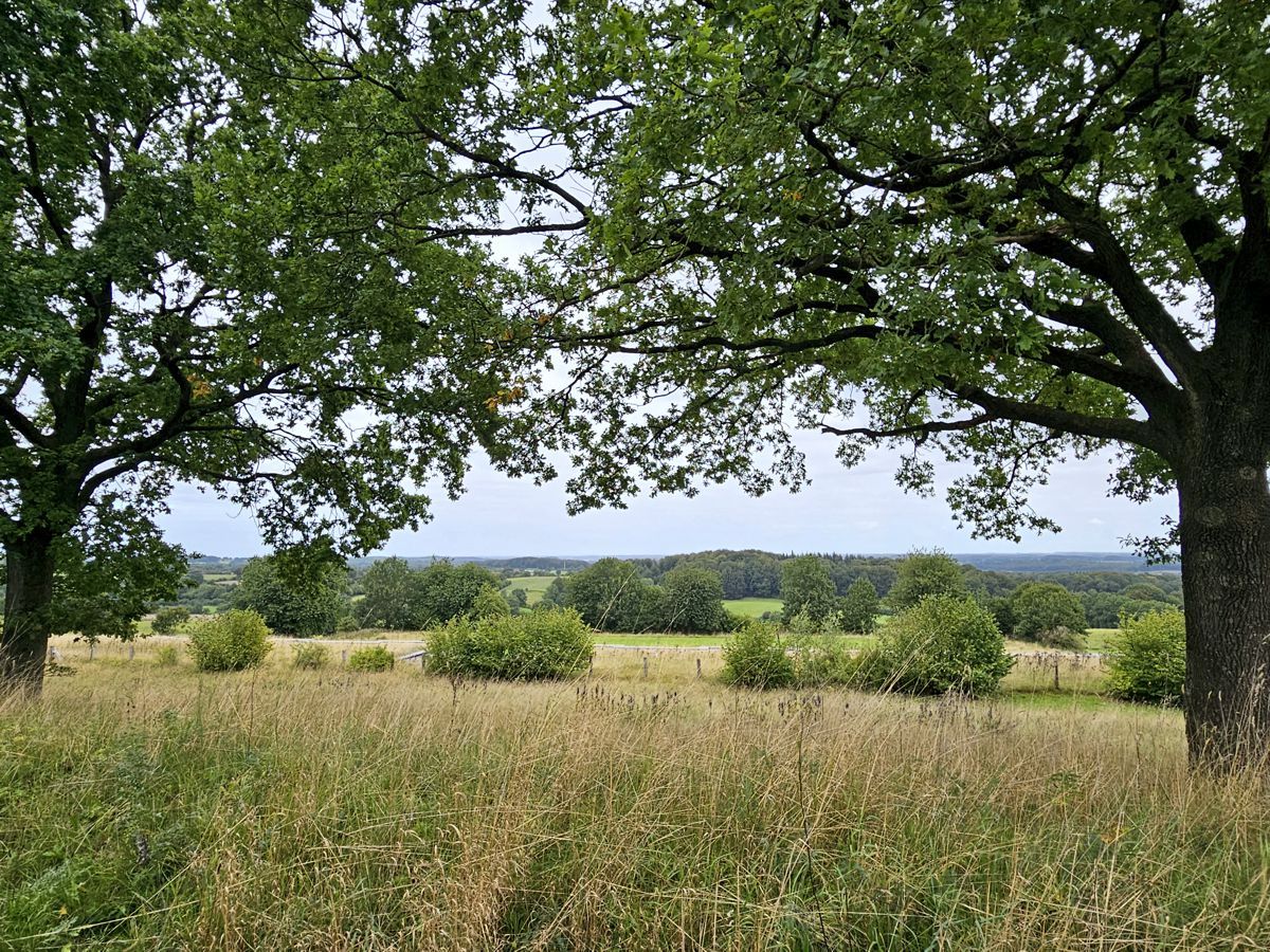 Hüttener Berge - Wanderroute 8 - Aschberg - Schoothorster Tal - Panoramablick
