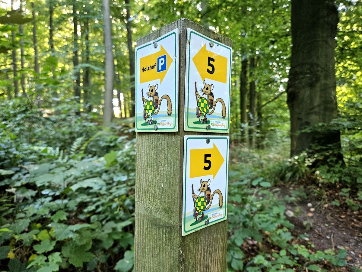 Brekendorfer Wald - Hüttener Berge - Wanderroute 5 - Beschilderung