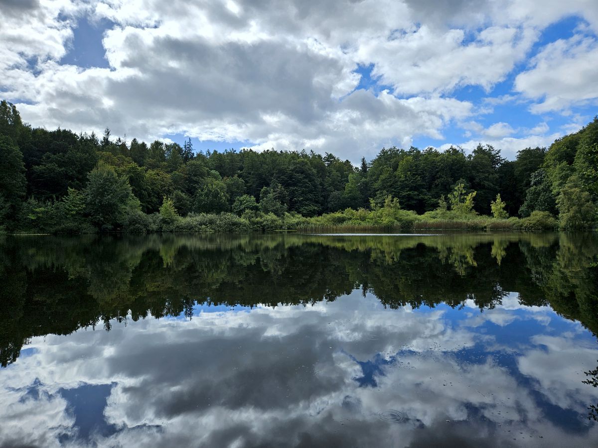 Rammsee im Brekendorfer Wald in den Hüttener Bergen - Spiegelung im Wasser mit Wald, blauem Himmel und Schäfchenwolken