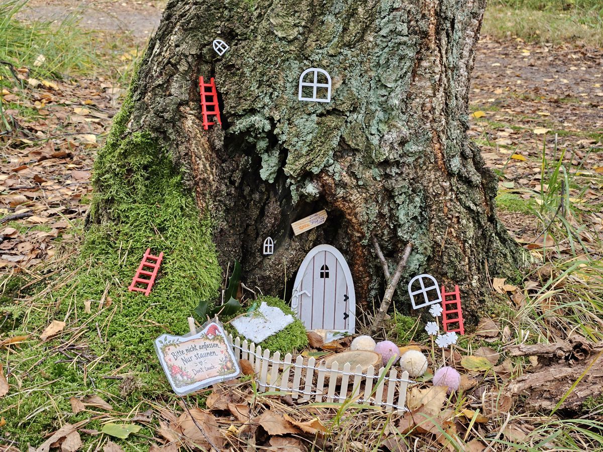 Wichtelhöhle im Wald in einem Baumstamm in der Fischbeker Heide